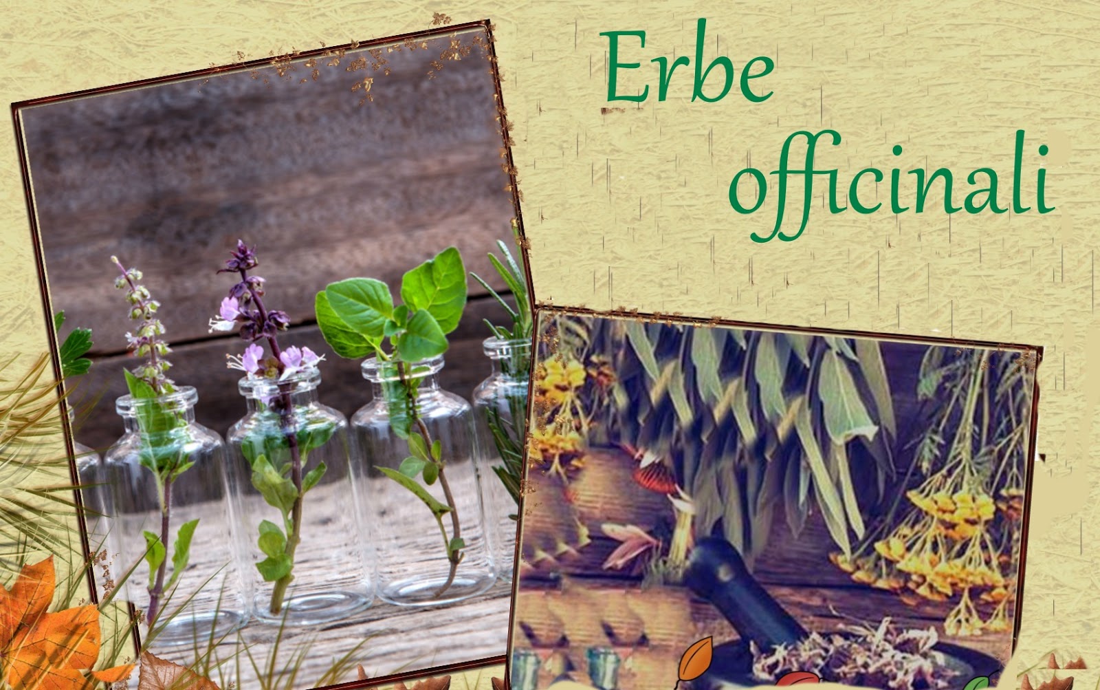 Estratto Di Miele Aromatico - Qualità Cosmetica, Prodotto In Francia, 10 Ml - Foto 5