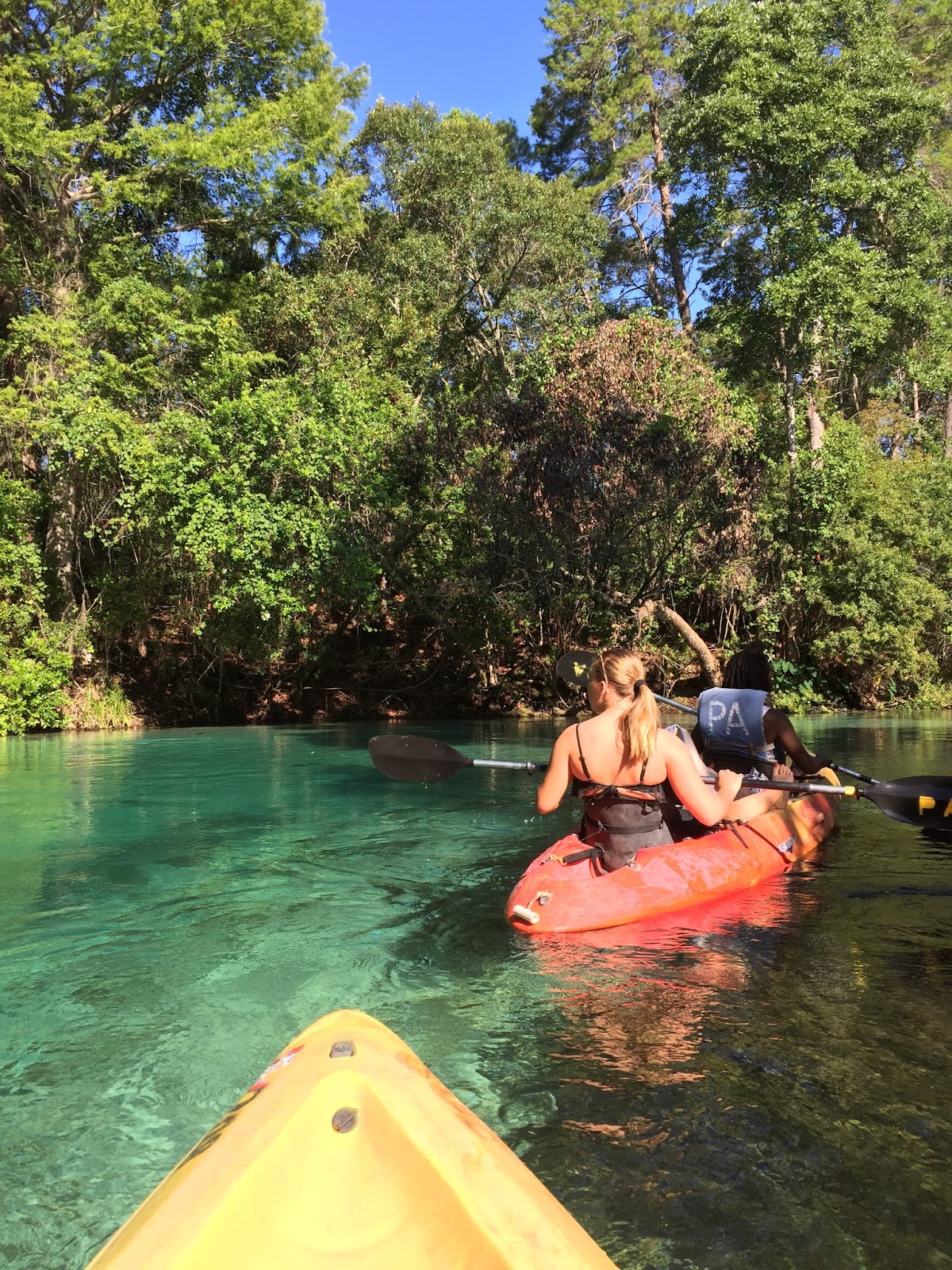 A Lovely Life, Indeed Kayaking with Manatees on the Weeki Wachee River