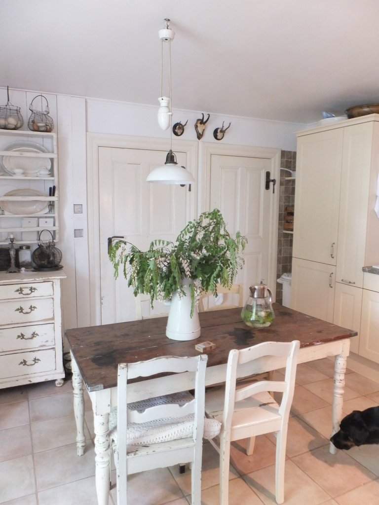 princessgreeneye: Mai 2013