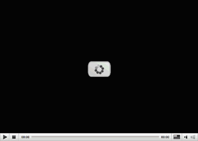 video-player-loading.gif