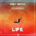 [MUSIC] Drey Beatz ft Patoranking _ Life