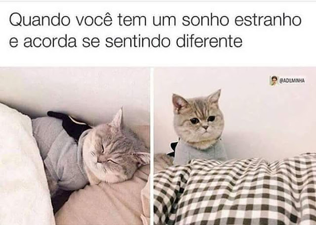 Memes engraçados Memes engraçados