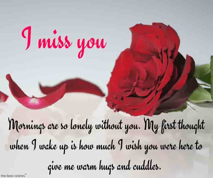 i-miss-you-message-for-him-with-red-rose i miss you message for him with red rose