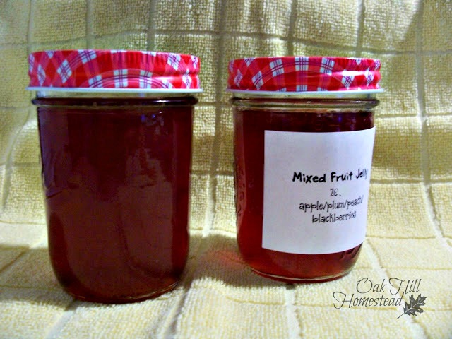 Two half-pint jars of mixed fruit jelly.