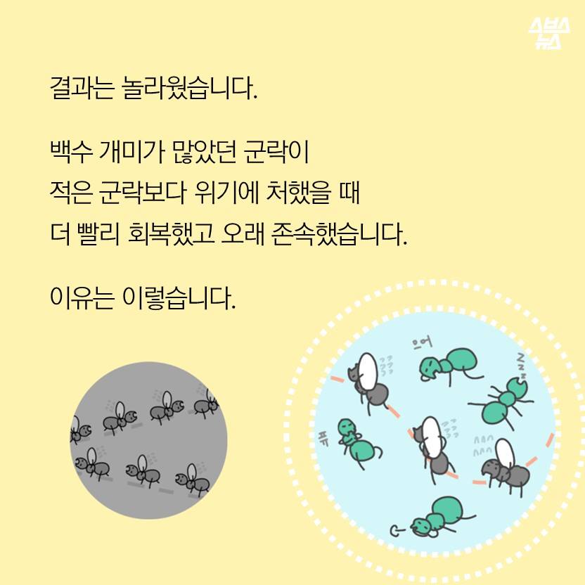 원본 크기로 보시려면 그림을 클릭하세요.