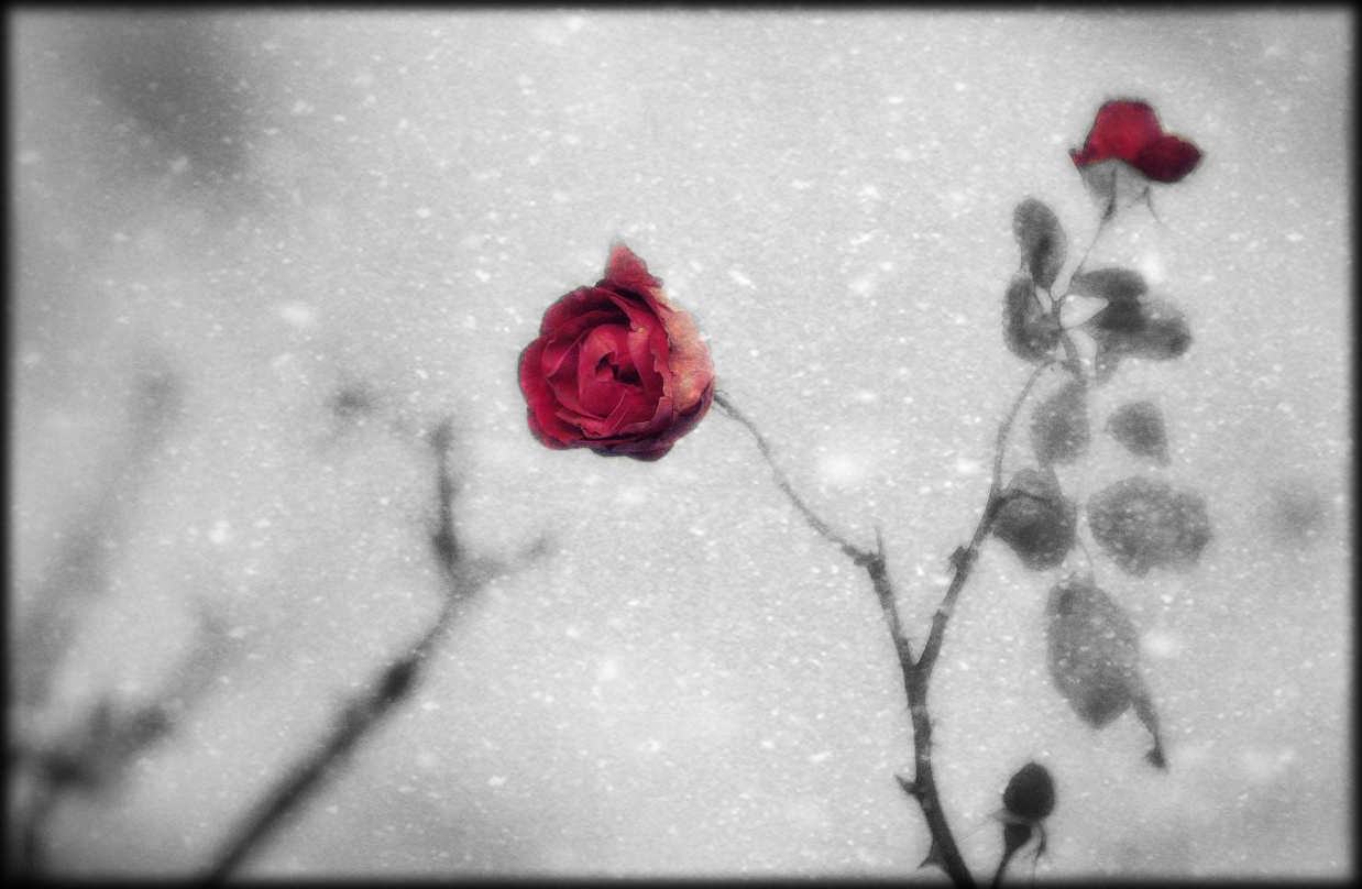 Gedichte Unter Der Laterne November 2015