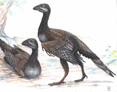 aves prehistoricas de argentina Enantiornis