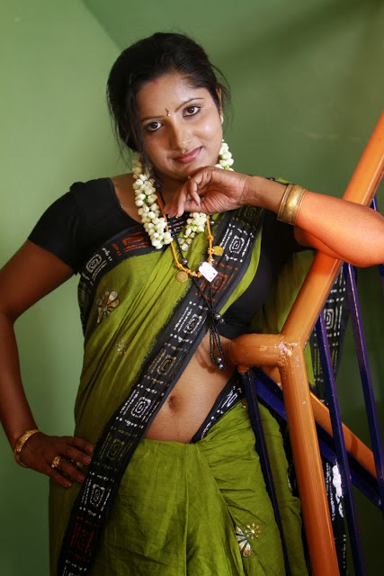 South Actress Meera In Saree Latest Photo Album Mallu Actress Photo