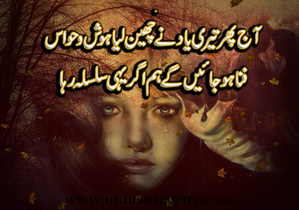 Yaad Teri Yaad Poetry In Urdu / Tujhe is waqt yaad karna sawab thori hai. 