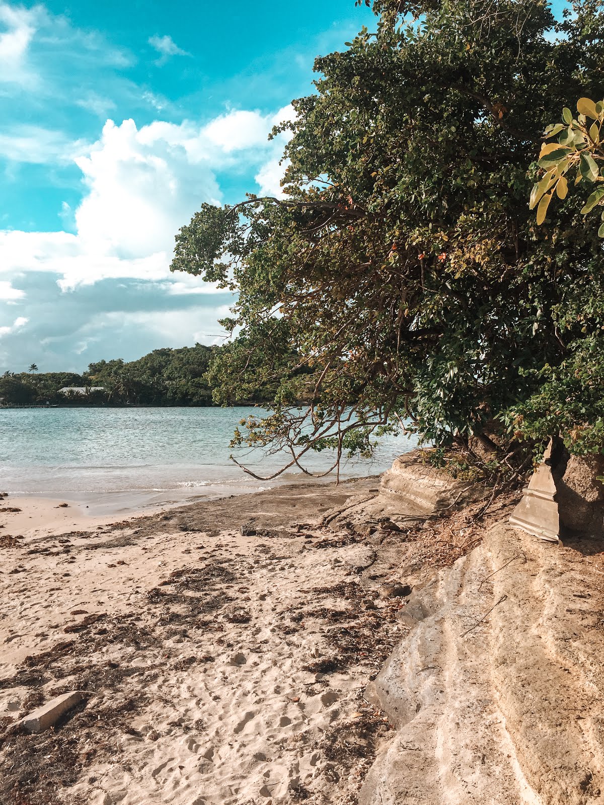Végétation en premier plan et eaux turquoises en arrière plan sur plage de l'îlet oscar en Martinique