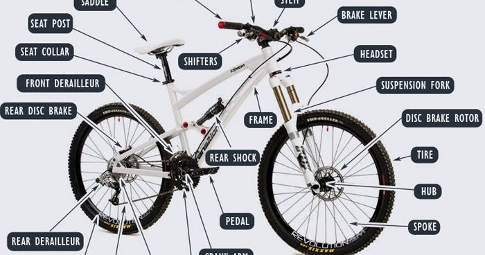 blue sky cycling reviews