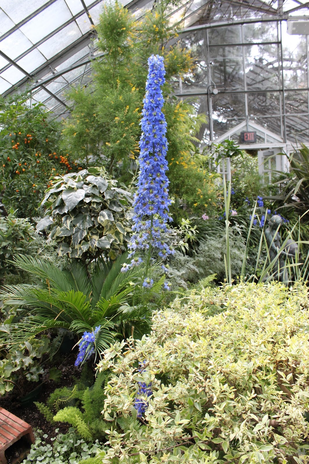 Simpson Eco Farms Allen gardens ⦗⧈⧈⦾⦾⦿⦾⦾⧈⧈ ⦘ ⫷ Toronto greenhouses ⫸