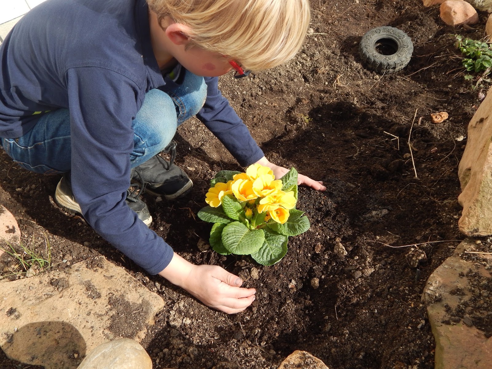 Familie und mehr PflanzeineBlumeTag