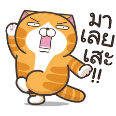 Lan Lan Cat: So Lively!