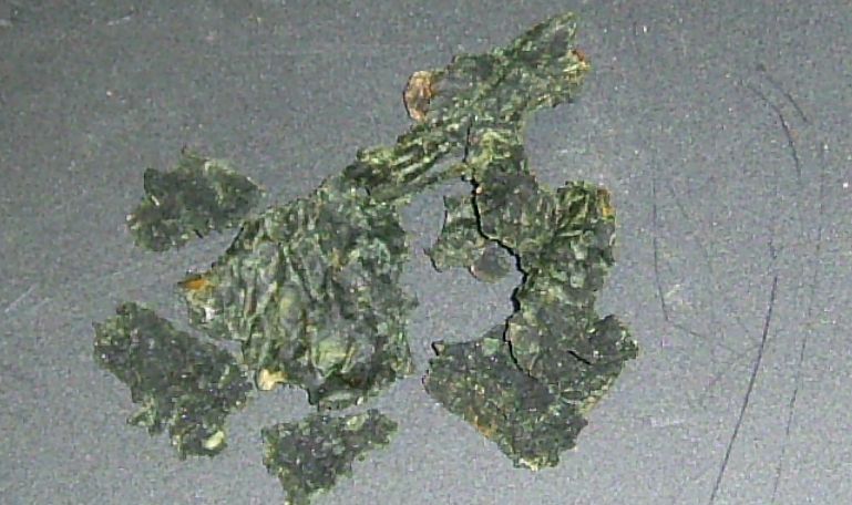 Pet Care Naturally Articles Cat Dog Fleas Pet Care Naturally Articles Cat Dog Fleas