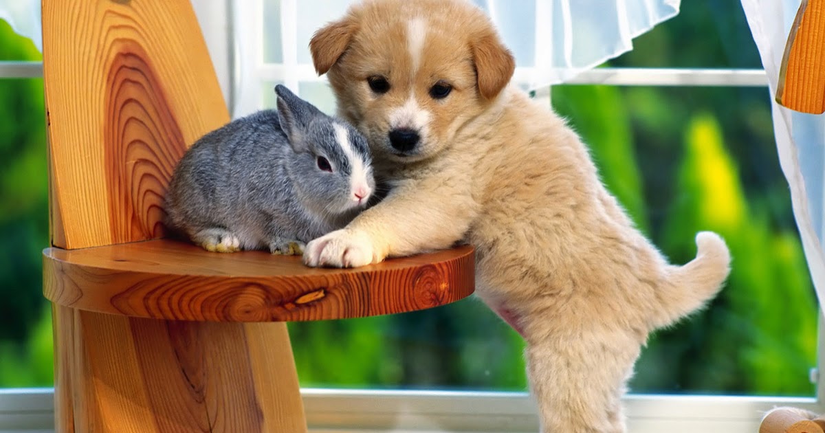 خلفيات رائعة للشباب Hd خلفيات متحركة و رائعة بدقة عالية