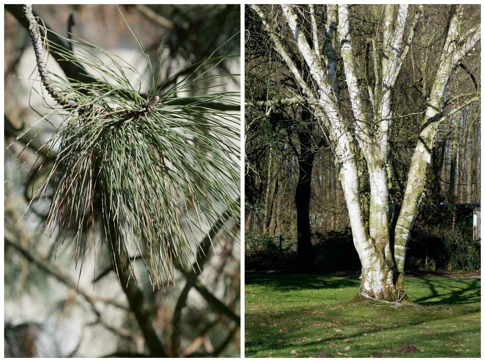 Le Monde De Kitchi Februar 2018