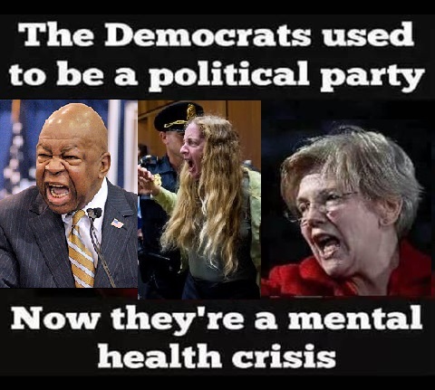 Mental%2BHealth%2BCrisis%2Bof%2Bthe%2BDemocrat%2BParty.jpg