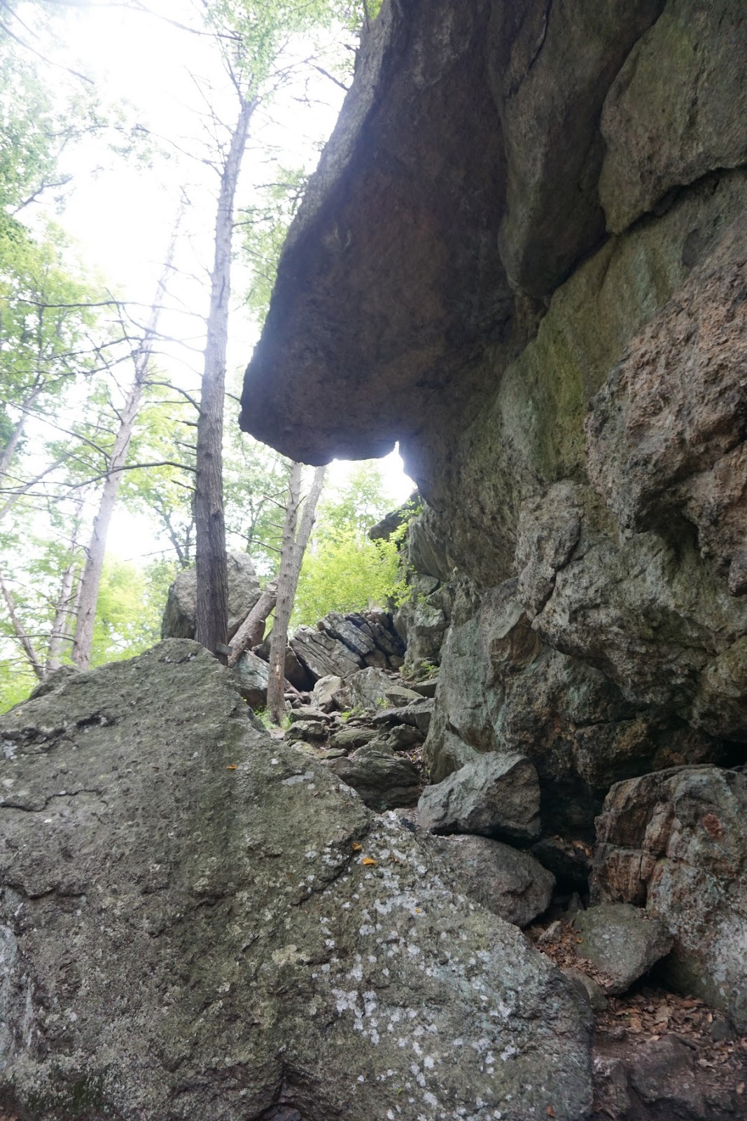 Harriman Hiker Harriman State Park and Beyond Island Pond Mountain