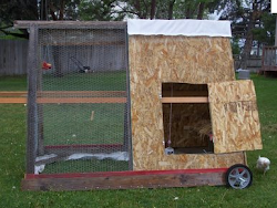 chicken coop triangle coops diy door cheap automatic chickens daughter tag