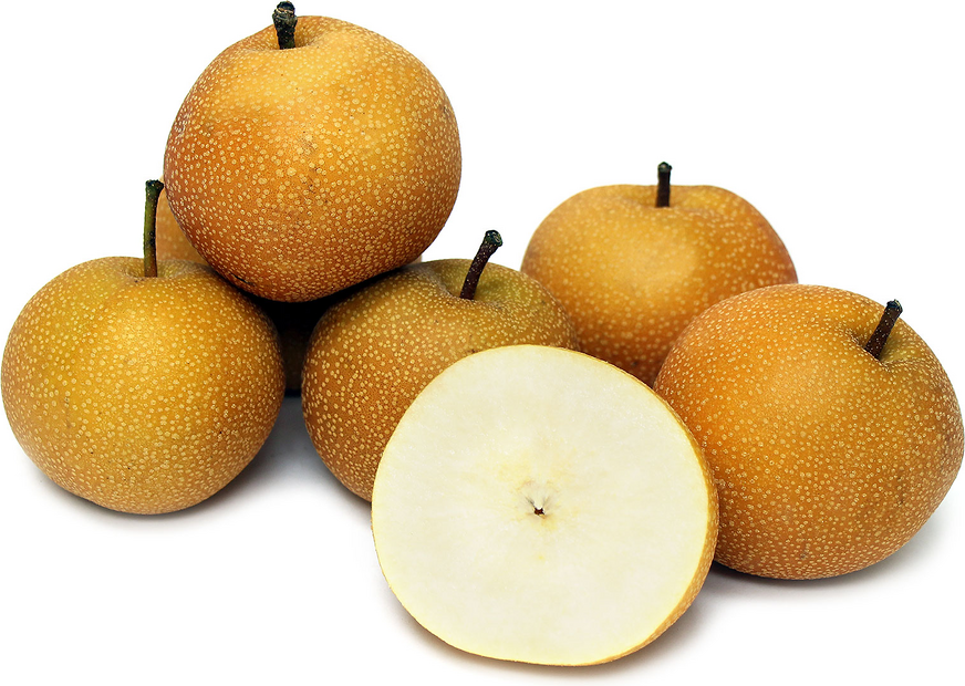 theKONGBLOG™ Asian Pears a.k.a. Apple Pears — Taking America By Storm