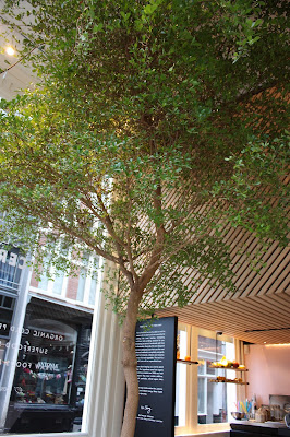 The cold pressed juicery Amsterdam The cold pressed juicery Amsterdam