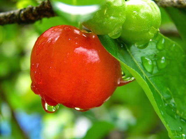 Vestido cor de acerola combina com qual cor de sapato