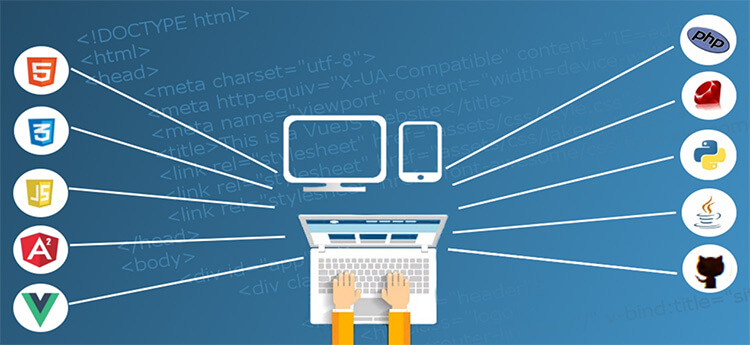 Which Are Some Of The Most Popular Back End Frameworks? Which Are Some Of The Most Popular Back End Frameworks?