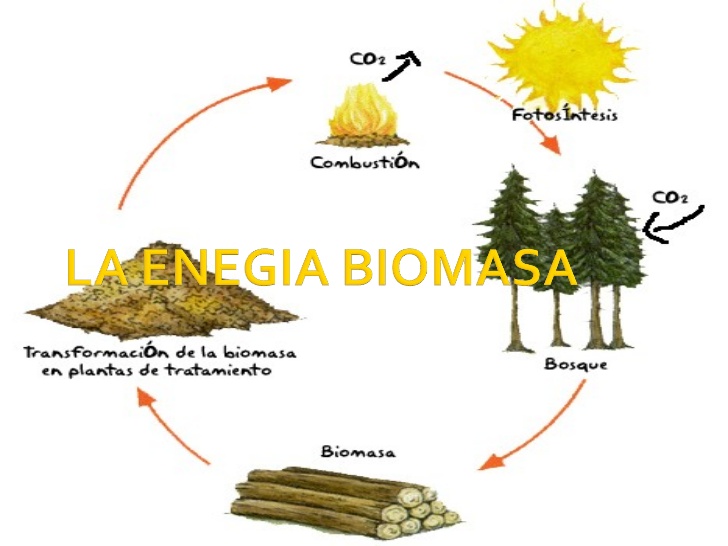 energía de origen vegetal