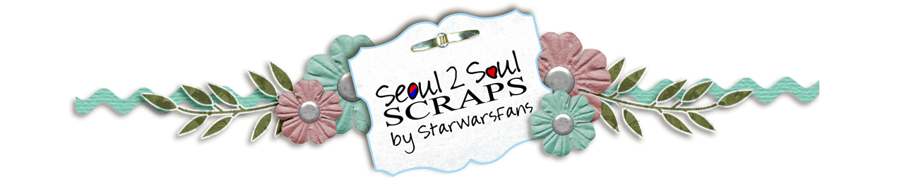 Seoul 2 Soul Scraps