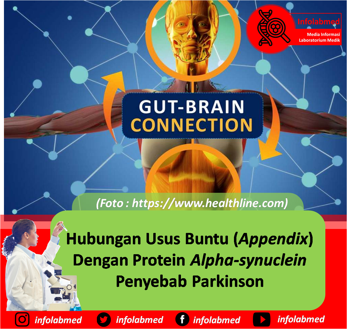 Hubungan Usus Buntu (Appendix) Dengan Protein Alpha-synuclein Penyebab