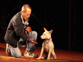 singer on stage, dog, won't give his paw