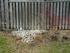 North York Toronto spring garden clean up after by Paul Jung Gardening Services