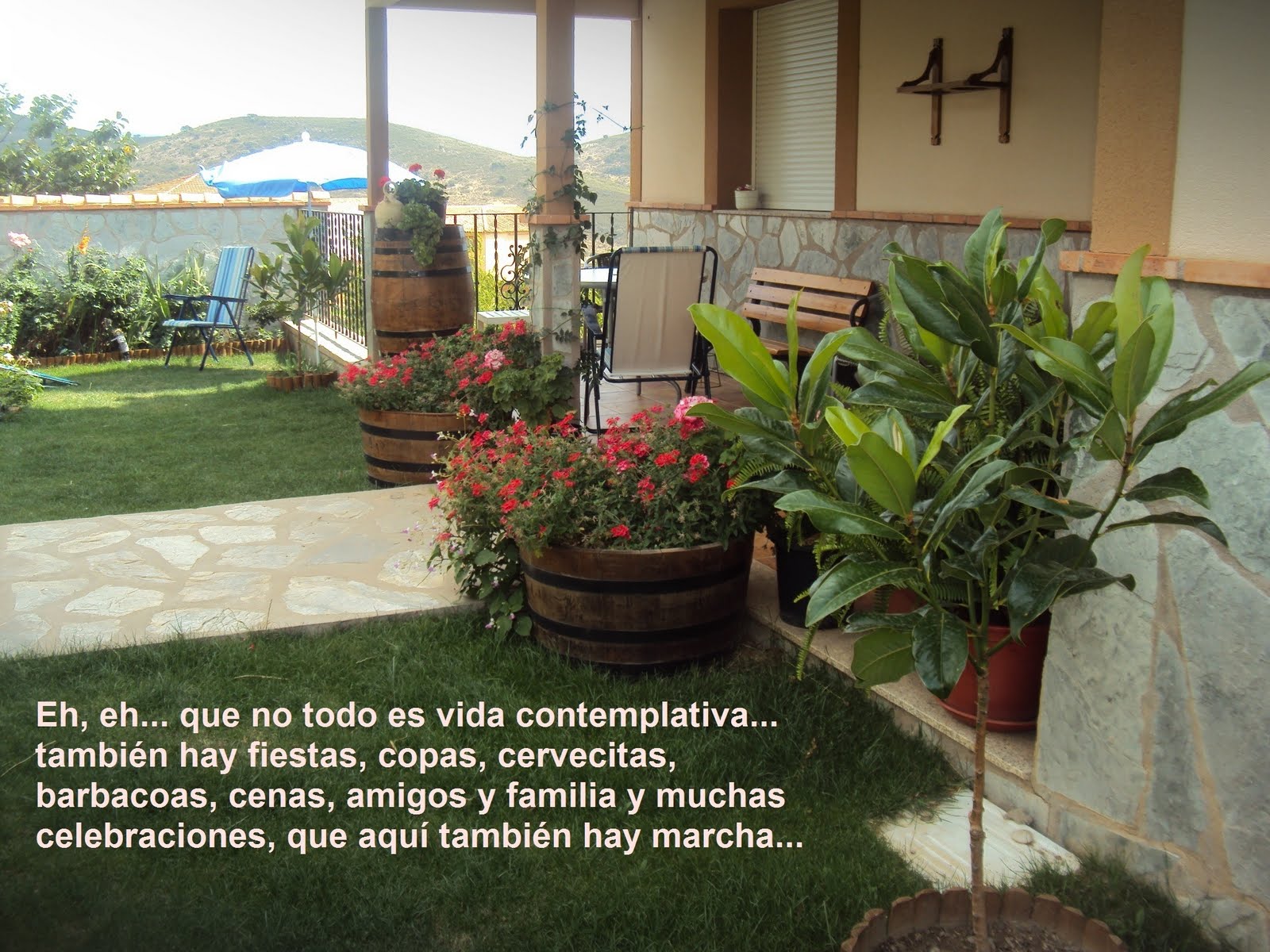 pincel y aguja El patio de mi casa