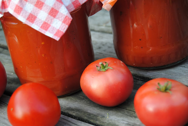 domowy koncentrat pomidorowy