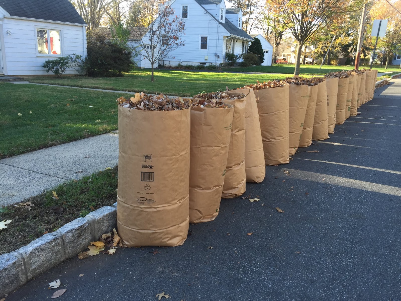 PrincetonPrimer The Cost of Free Leaf Bags in Princeton