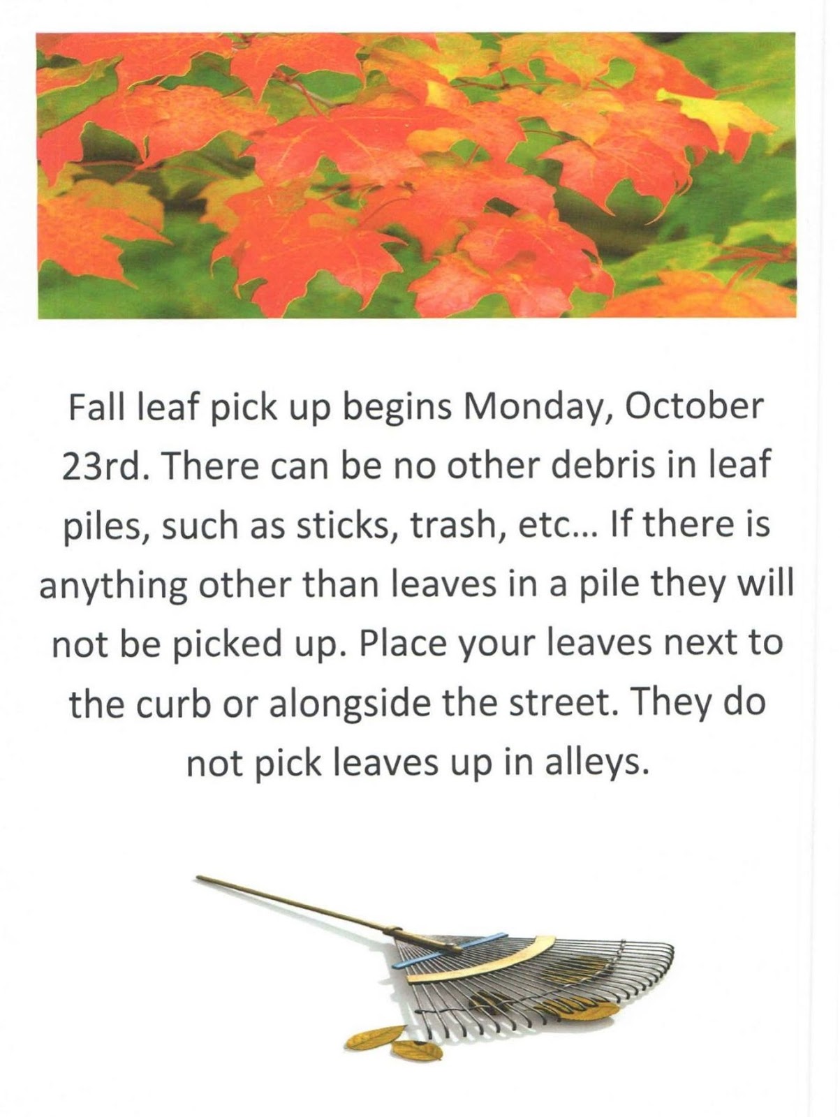 North JudsonWayne Township Public Library Fall Leaf Pick Up in North