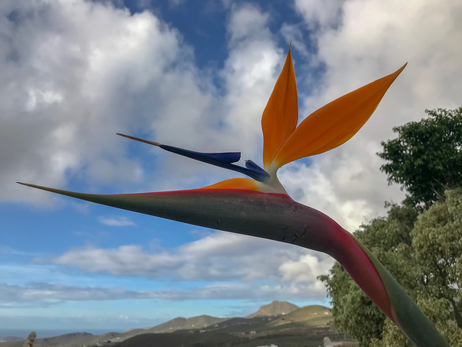 Der Wanderfreund Schlosswanderung Im Naturpark Mecklenburgische