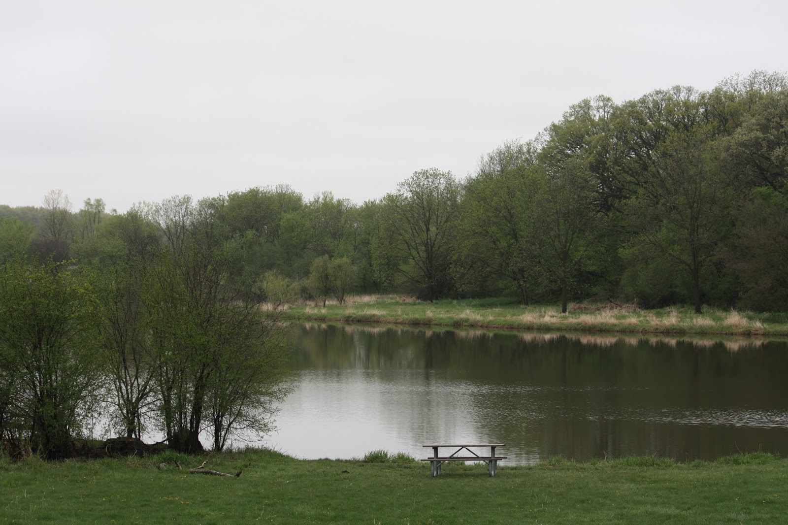 A Little Time and a Keyboard Penny Road Pond in Barrington, Illinois