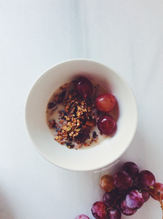 Granola de chocolate casera