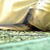 Solat Jamak dan Solat Qasar