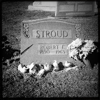 stroud robert location birdman alcatraz gravesite exact