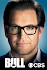 Bull Poster