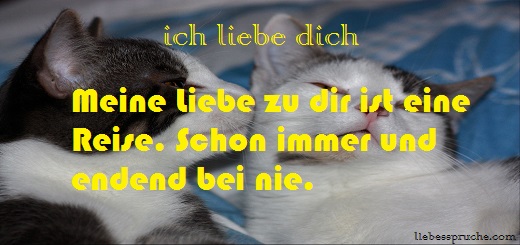 liebesbilder mit sprüchen | liebessprüche bilder | liebessprüche mit bilder liebesbilder-mit-sprüchen