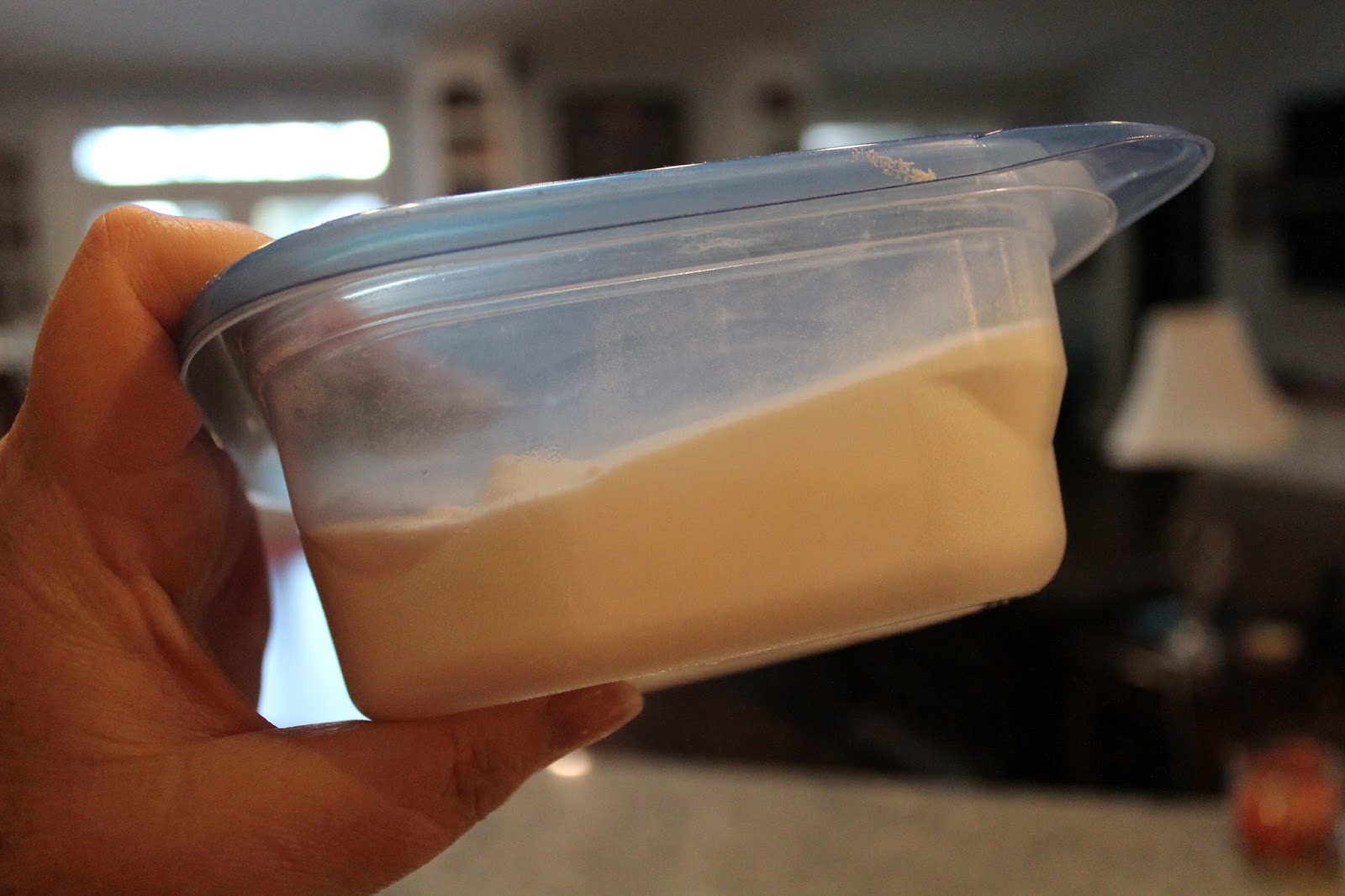 Dinner with the Grobmyers Homemade Kitchen Sink Cleaner