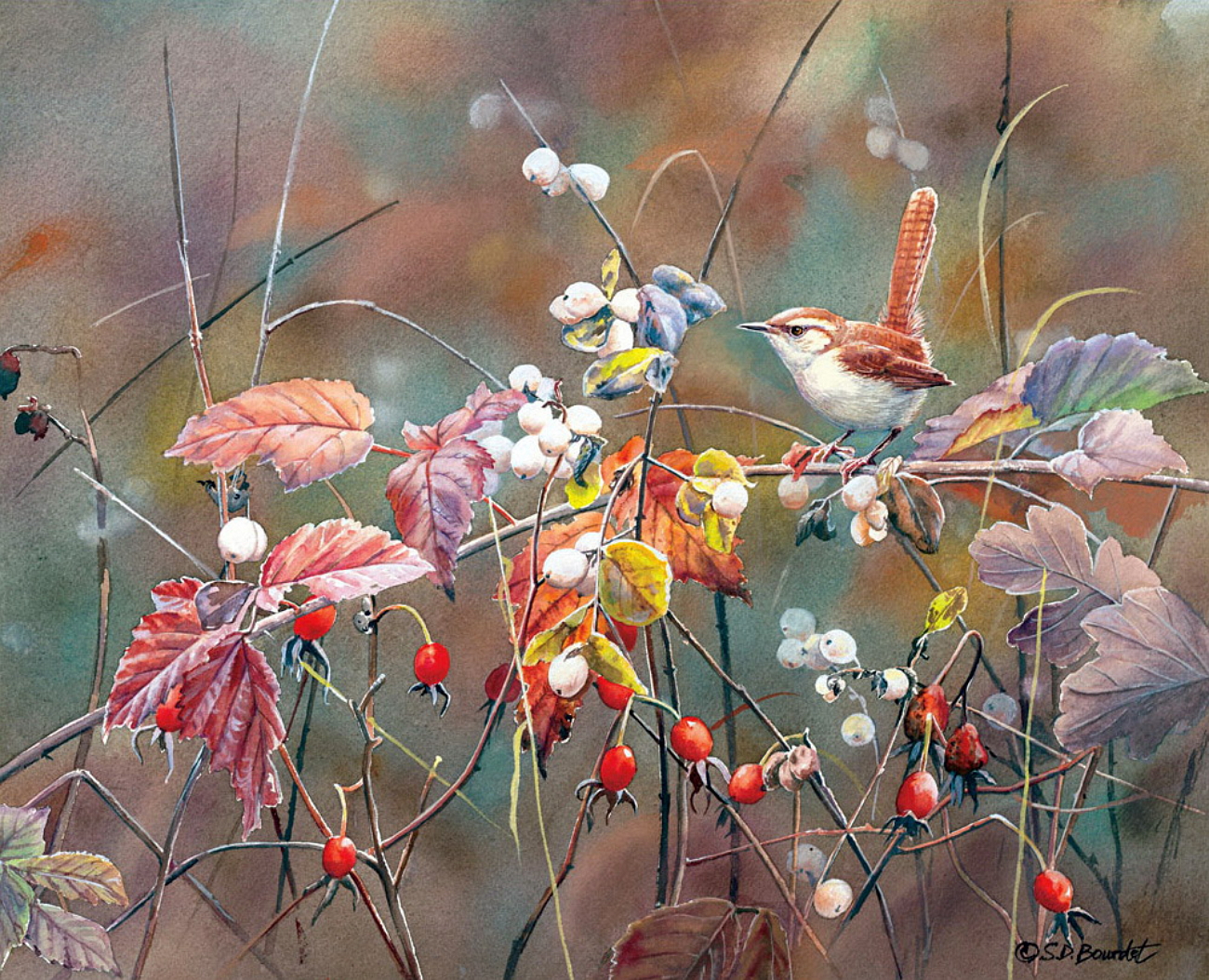Весной пестрый. Susan Bourdet американская художница. Акварель Сьюзан Бордет птицы. Сьюзен Бордет художник. Художница Сьюзен Бордет.