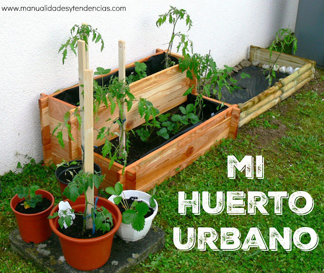 Cómo hacer tu propio huerto urbano o mini huerto