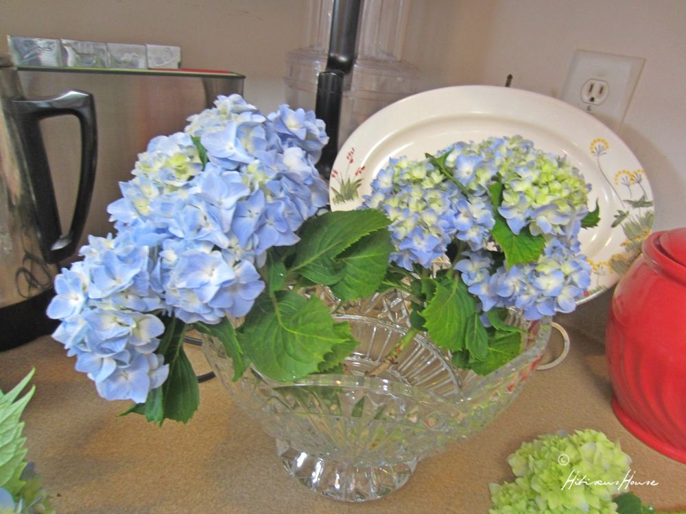 Amazon Com Nearly Natural 1368 Bp Mixed Hydrangea With Vase Blue