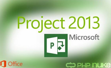 Microsoft Project 2013 Free Download