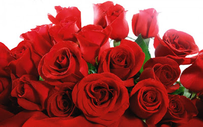 imagen de amor con rosas